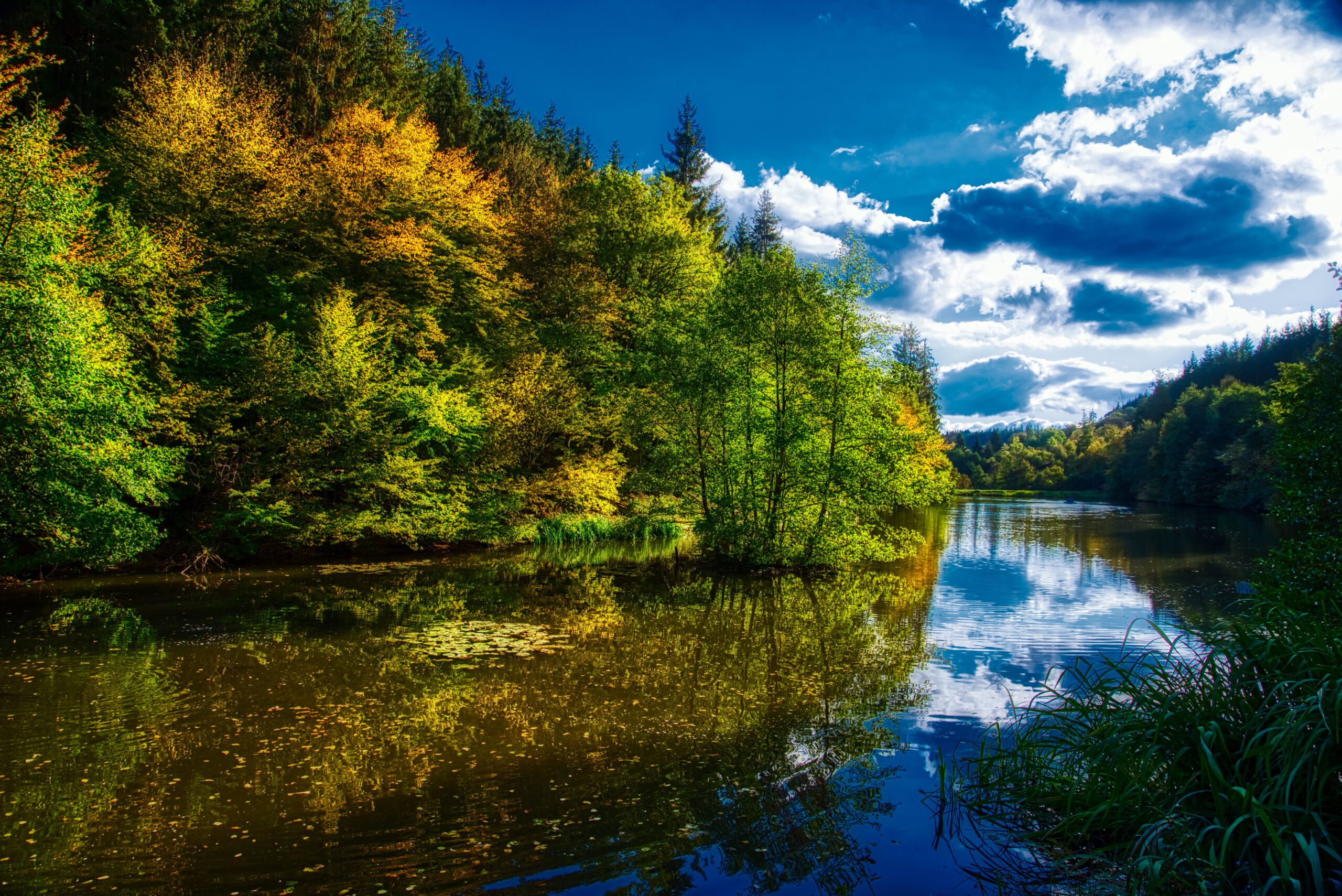 Der Wispersee in Heidenrod